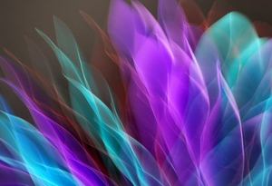dấu hiệu nghiện bầu cua